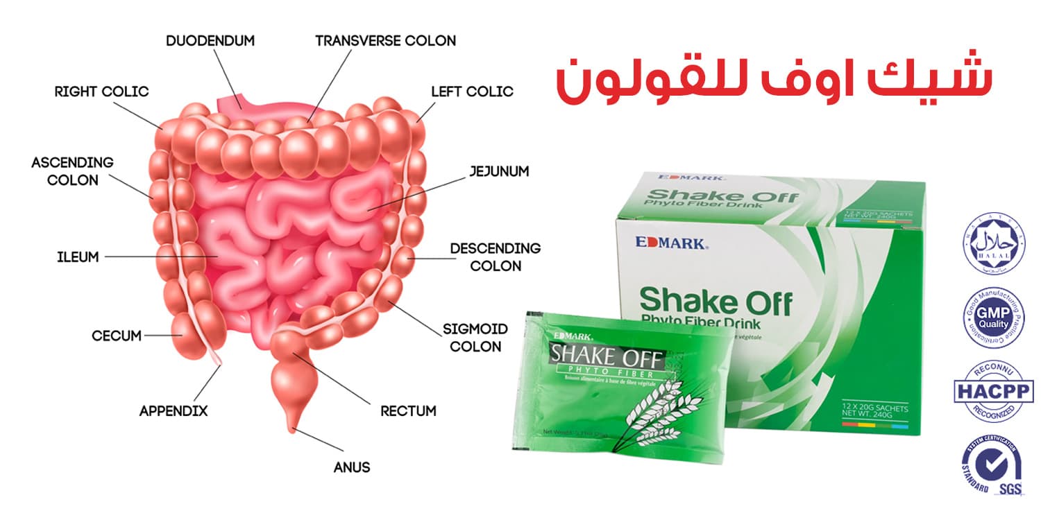 شيك اوف للقولون